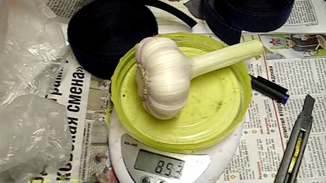 чеснок урожая 2015 года еда смотреть онлайн