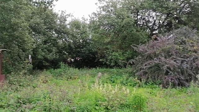 11337755 смотреть онлайн