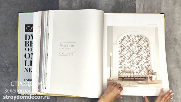 Обои Andrea Rossi Cavolli