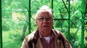 Про Ораниенбаумский плацдарм