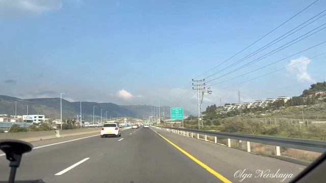 Израиль. Аутлет, собаки на продажу. Репатриация в Израиль. смотреть онлайн