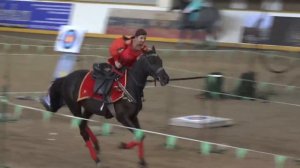 Казачья джигитовка. Показательная программа.