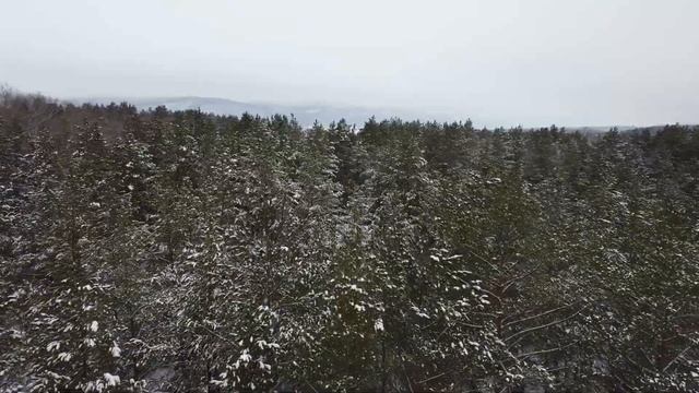 Отдых в Самаре зимой, Лесная сказка - Эко-Турбаза “Island Village” смотреть онлайн