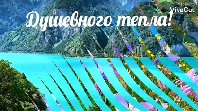 Пожелание доброго дня.