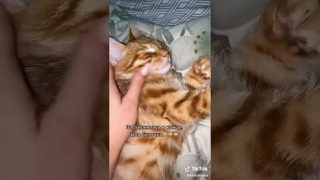 Симбочка😍 #симбаялюблютебя #песнисимбы смотреть онлайн