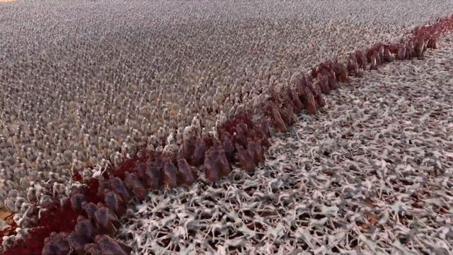CAN 1000 DART WADER DEFEAT 1,000,000 ZOMBIES? | Ultimate Epic Battle Simulator 2 | UEBS 2 смотреть онлайн