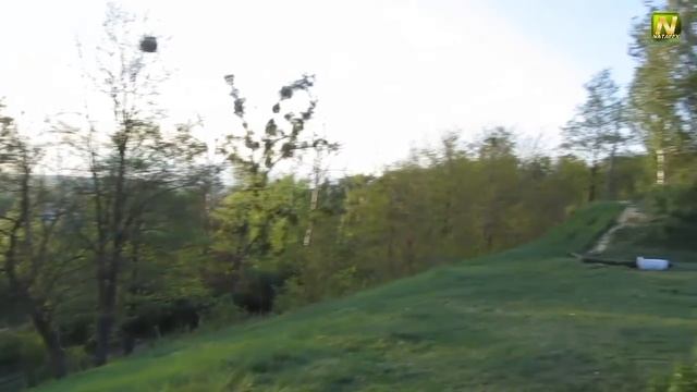 [Natalex] Тест самодельной ветрозащиты на микрофоне фотоаппарата... смотреть онлайн