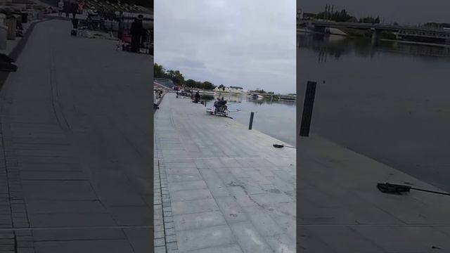 Чемпионат Пензенской области в десциплине по ловле донной удочкой смотреть онлайн