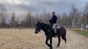 ИППОТЕРАПИЯ: Лошадь и человек