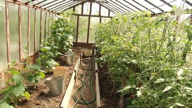 Цветущие сады Нины Алякиной смотреть онлайн