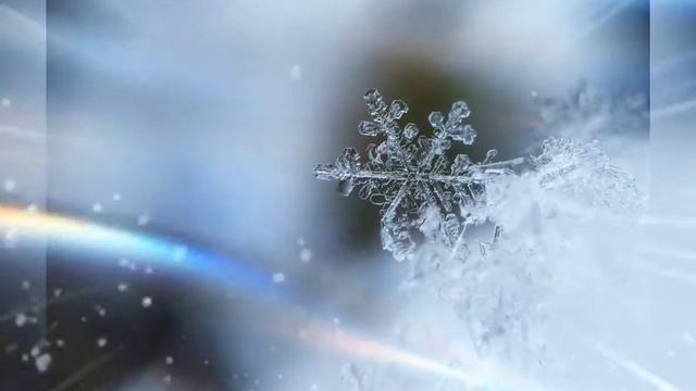 Ночью зимнею...Яна Воронец. смотреть онлайн