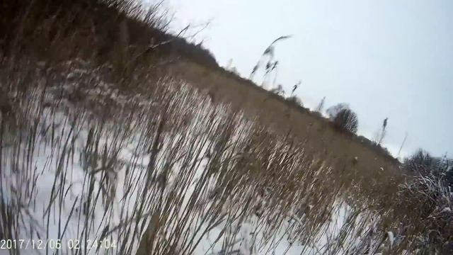 Закрытие загонной на лося, иду на номер. (Оцените красоту и приезжайте на охоту). смотреть онлайн