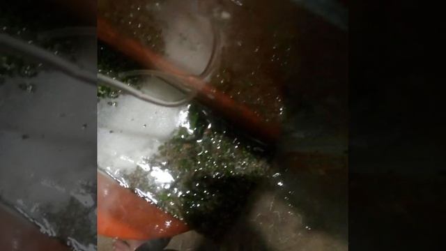 Аквариум создание, из китайских семян. смотреть онлайн