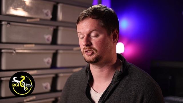 Ball Python Holdback or Dead Weight? | Reptile Breeding Tips смотреть онлайн