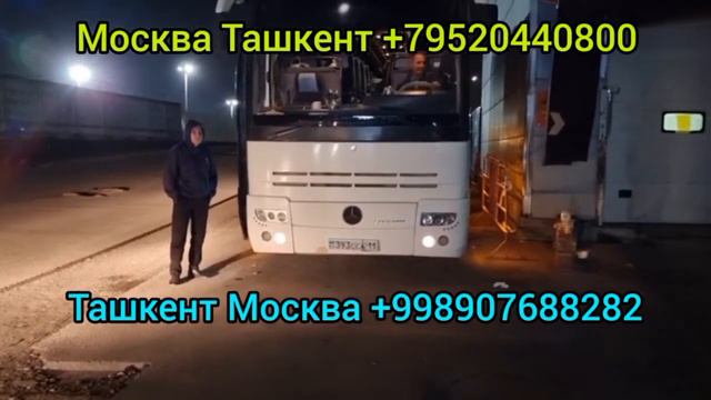 Москва Ташкент Таджикистан такси Россия Таджикистан автобус #москваташкент смотреть онлайн