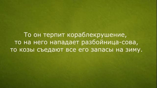 Я пишу про лес.mp4 смотреть онлайн