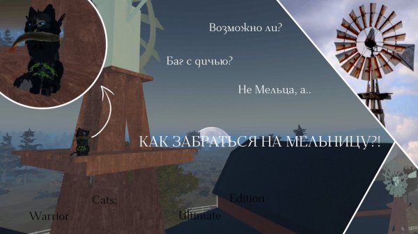 КАК ЗАБРАТЬСЯ НА МЕЛЬНИЦУ В WC:UE?! | Баг | Warrior Cats: Ultimate Edition - Roblox