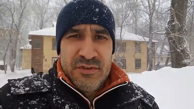 Выставка собак//Оценка экстерьера//Малинуа смотреть онлайн