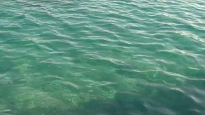 Jaz Makadina 5, Club Makadi, Аквапарк Makadi Water World. Отдых в Египте в Хургаде. Pegas touristik