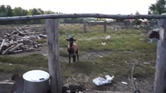 Благовестие в посёлке Кадниково. 14.09.2010 смотреть онлайн