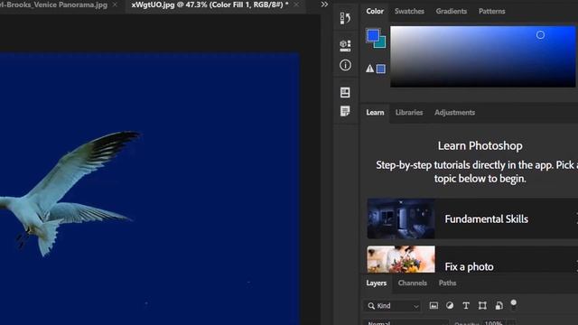 Paint Bucket Tool in Photoshop смотреть онлайн