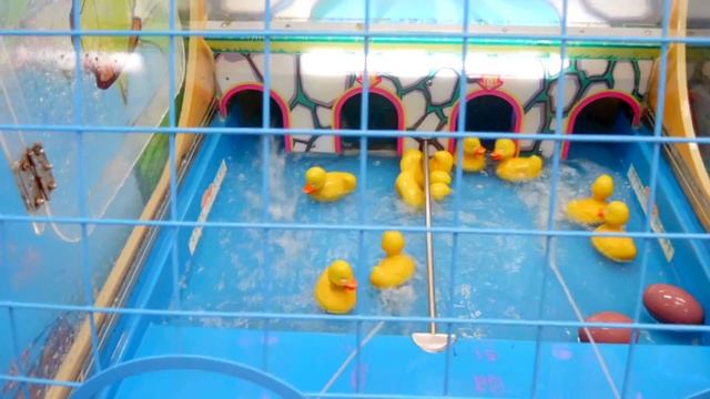 Kids Arcade Games at Chuck E Cheese Plastic Ball Games, Splash the Duck Games, fun for Kids - ZMTW смотреть онлайн