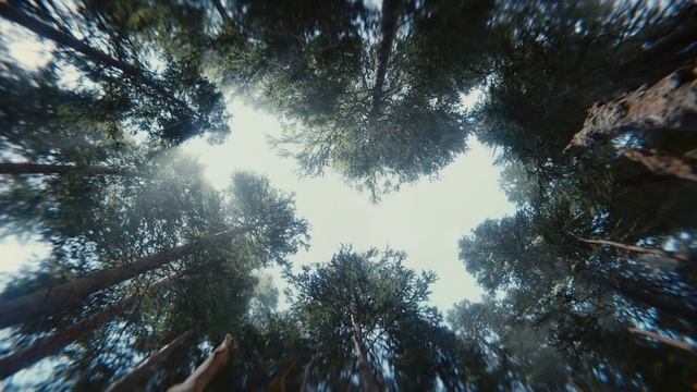 Book of the Dead - Unity Interactive Demo - Teaser смотреть онлайн