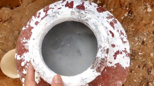 Pesticide Side Effect | How Do You Recover An Over Fertilized Plant | Pesticide Over Dose Treatment