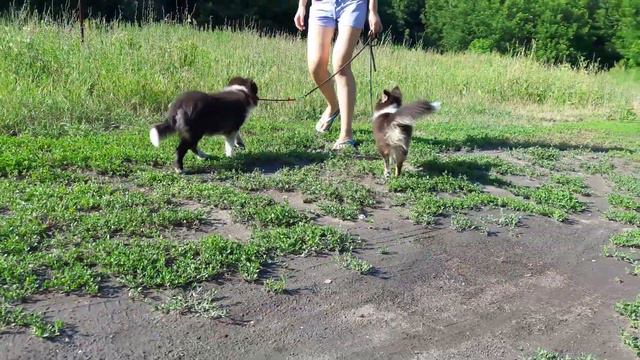 Басма и Проня. смотреть онлайн