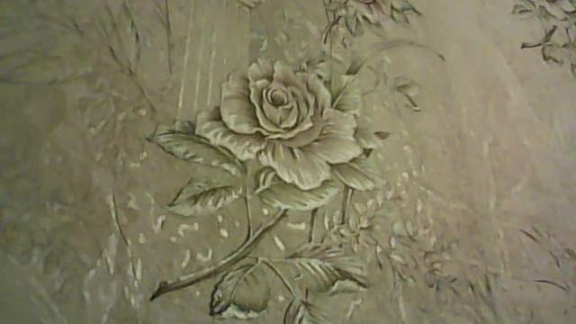 Видео с веб-камеры. Дата: 19 апреля 2013 г., 0:08. смотреть онлайн