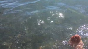 Море волны. Сочи купаемся