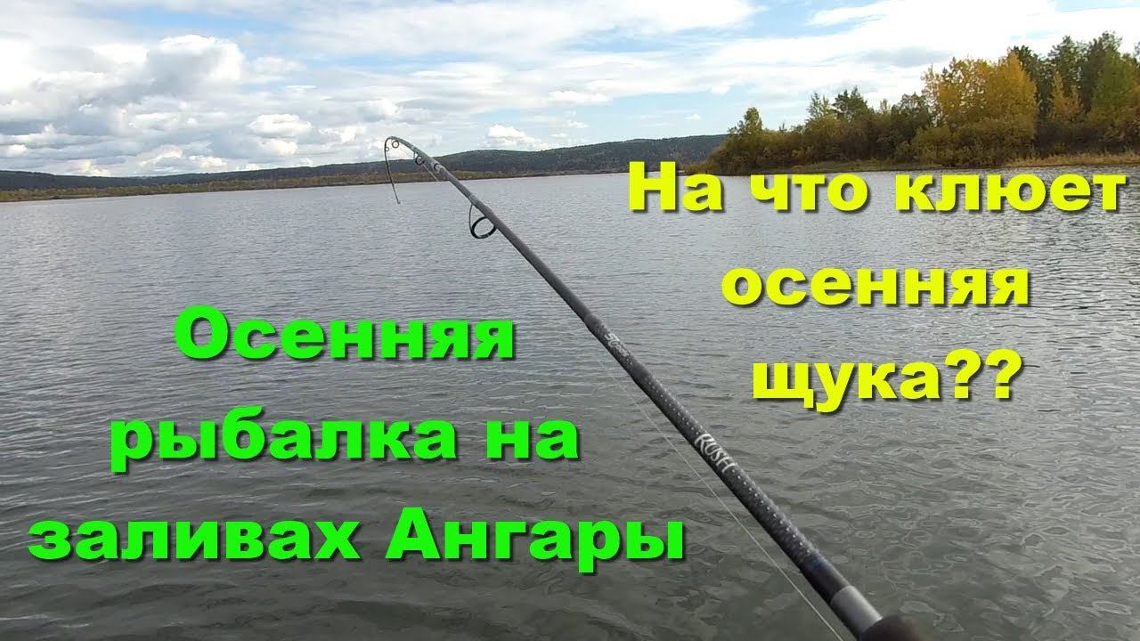 На что клюёт осенняя щука??? Осенняя рыбалка на заливах Ангары.
