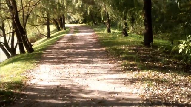 Сентябрьская прогулка в парке Свиблово смотреть онлайн