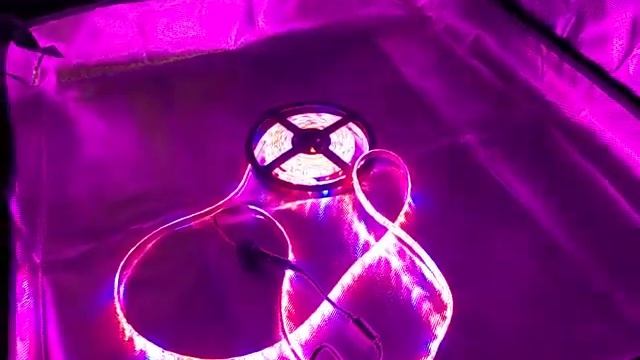 ALight House LED Grow Strip Light 13.1ft Full Spectrum 4:1 Rope Light with Power Adapter смотреть онлайн