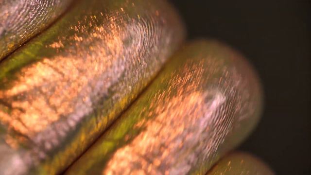 Мантикора смотреть онлайн