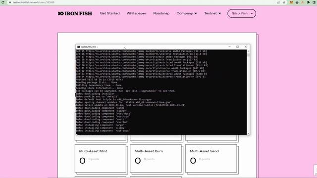 Iron Fish node установка | Пошаговый гайд | Анализ фондов проекта смотреть онлайн