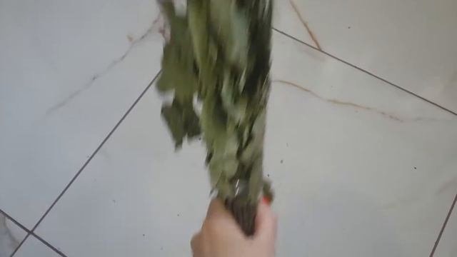 Дубовый веник деревенский смотреть онлайн