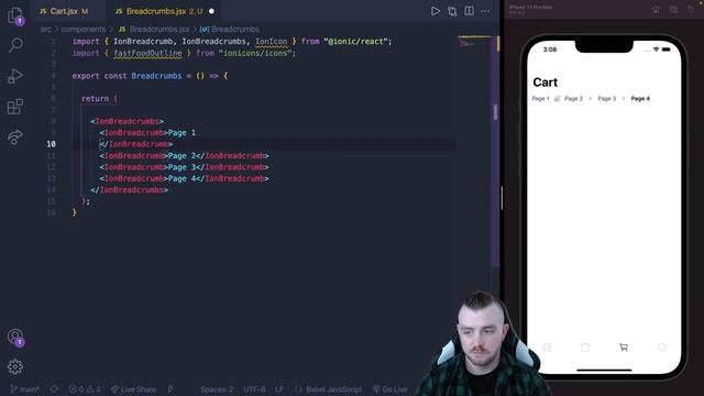 How to use the Ionic 6 Breadcrumbs Component with React (Ionic Framework) смотреть онлайн