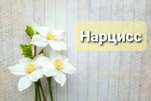 Нарцисс из холодного фарфора. Подробный мастер класс.