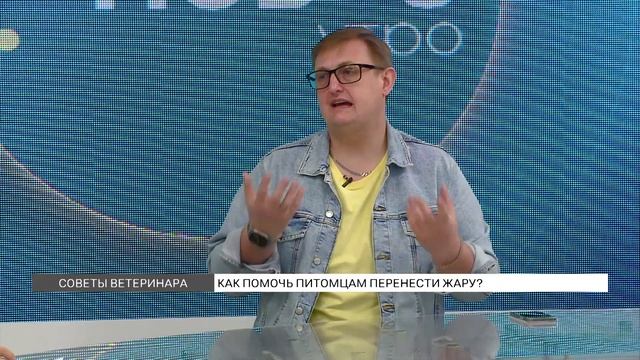 Как помочь питомцам перенести жару? смотреть онлайн