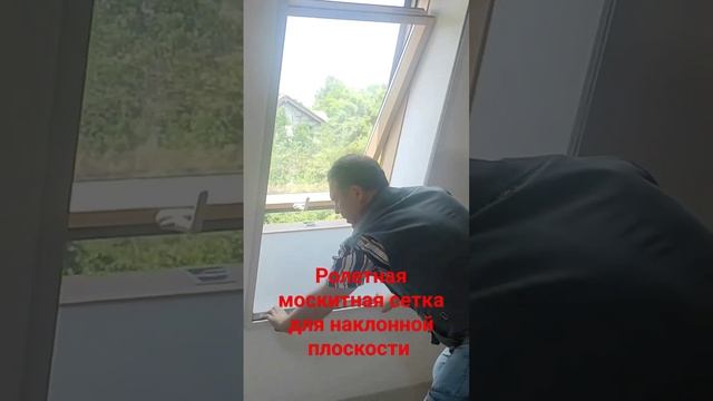 Ролетная москитная сетка #москитныесетки #жалюзи #москитныесеткинаокна #роллеты #сеткиплиссе смотреть онлайн