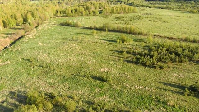 16 05 2020 Белая Холуница. На поле смотреть онлайн