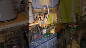 Сухопарник и Барботёр (отбираем головы)