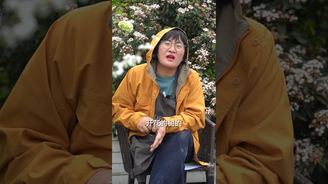 月季好養榜單盤點，色美勤花抗性佳 смотреть онлайн