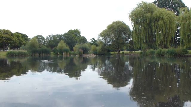 Leica V LUX 30 camera 1080p 30fps test video смотреть онлайн