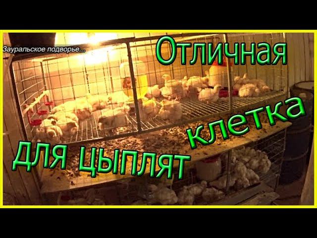 Посадка цыплят в новую клетку Клетка для цыплят бройлера своими руками смотреть онлайн