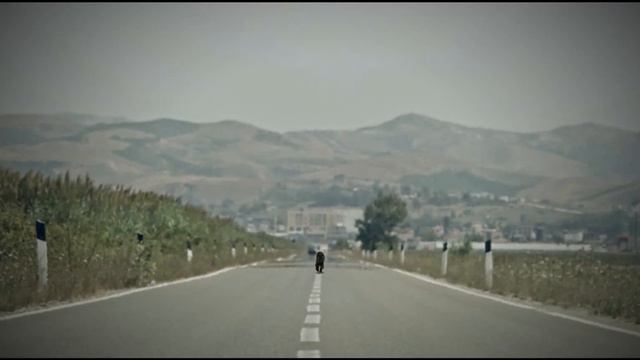 Jaguar Energy Drink Albania смотреть онлайн