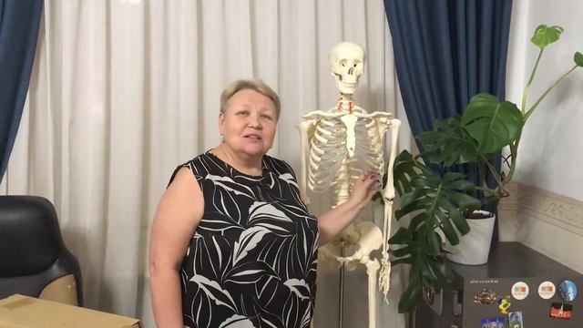 Завуч по научной работе Школы-гимназии №6 Цимфер Наталья Петровна смотреть онлайн