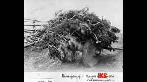 12 ШОКИРУЮЩИХ ПИСЕМ. Письма из ДЕРЕВНИ Часть 1 (1-6 письма) Александр Энгельгардт #history