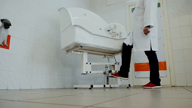 Ванна для купания животных